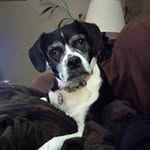 Stephen Inglis - @stephen_inglis - Instagram