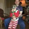 Stephen Ivory - @stephen.ivory8 - TikTok