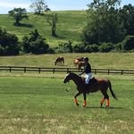 Stephen Jameson - @stephenjamesonpolo - Instagram