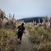 stephen_joe - @stephen_joedel - TikTok