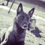 Stephen Joubert - @stephjoub16 - Instagram