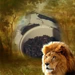 Stephen Justus - @stephenjustus3 - Instagram