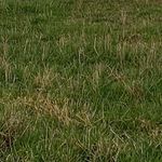 Kaleb Stephen - @kaleb_stephen102 - Instagram