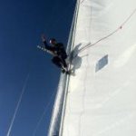 Stephen Katz - @steviekatz - Instagram