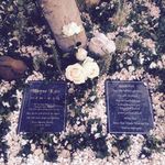 Stephen Katz - @stephen.katz.739 - Instagram