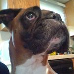 Stephen Kazimir - @stephenkazimir7 - Instagram
