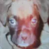 stephenkazimir - @stephenkazimir - TikTok