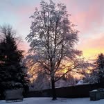 Stephen kean - @stephen.kean - Instagram