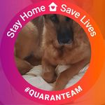 Stephen Kehoe - @st3572021 - Instagram