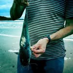 Stephen Keim - @stephen.keim.7 - Instagram