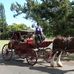 Steve Kemmerer - Facebook