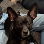 Stephen Kendrick - @stephenkendrick - Instagram