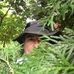 Stephen Kershner - Facebook