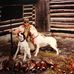 Steve Kershner - Facebook