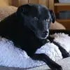 stephenkerwin945 - @stephenkerwin945 - TikTok