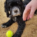 Stephen Kettle - @stephen.kettle.9237 - Instagram