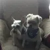 Stephen_Kincer - @stephen_kincer - TikTok