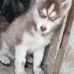 Steve Kinloch - Facebook