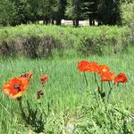 Stephen Kiser - @kiser.stephen - Instagram