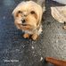 Steve Klimas - Facebook