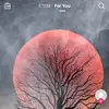 kodas_korner - @stephenkluck - TikTok