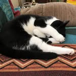 Stephen Kluck - @kluck.stephen - Instagram