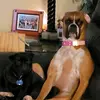stephenknotts877 - @stephenknotts877 - TikTok