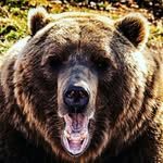 stephen knupp - @stephen_knupp44 - Instagram
