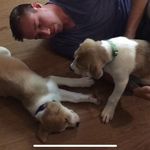 Steven Koss - @sekoss - Instagram