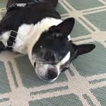 Steven Kranz - @smkranz - Instagram