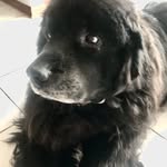 Steven kranz - @sjkranz_99 - Instagram