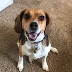 Stephen Kruse - @mr.skruse - Instagram