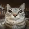 stephen - @stephen.kucera - TikTok