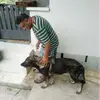 Kumar Stephen - @kumar.stephen - TikTok