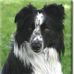 Stephen Kunkel - Facebook