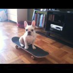 Stephen Kunkel - @stephen458 - Instagram