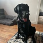 Stephen Kunkle - @kunks1 - Instagram
