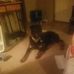Stephen Langston - Facebook