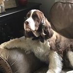 Stephen Lanphear - @lanphear.stephen - Instagram