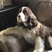 Stephen Lanphear - Facebook