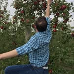 Stephen Lanza - @the_acappella_nerd - Instagram