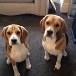 Stephen Large - @stephen.large2 - Instagram