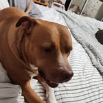 Steven Larimore - @larimore.steven - Instagram