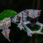 Stephen Edward Larsen - @geckoguy01 - Instagram