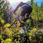 Stephen Larsen - @larsen.stephen - Instagram
