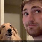Stephen Larson - @neidaname - Instagram