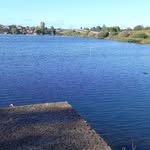 Stephen Latham - @stephenlatham7 - Instagram