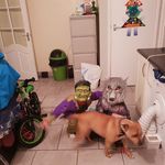 Stephen Mc Laughlin - @laughlin.stephenmc - Instagram