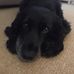 Stephen Lavender - Facebook