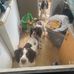 Stephen Lavender - Facebook